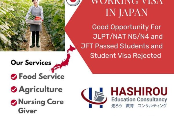 Working Visa In Japan